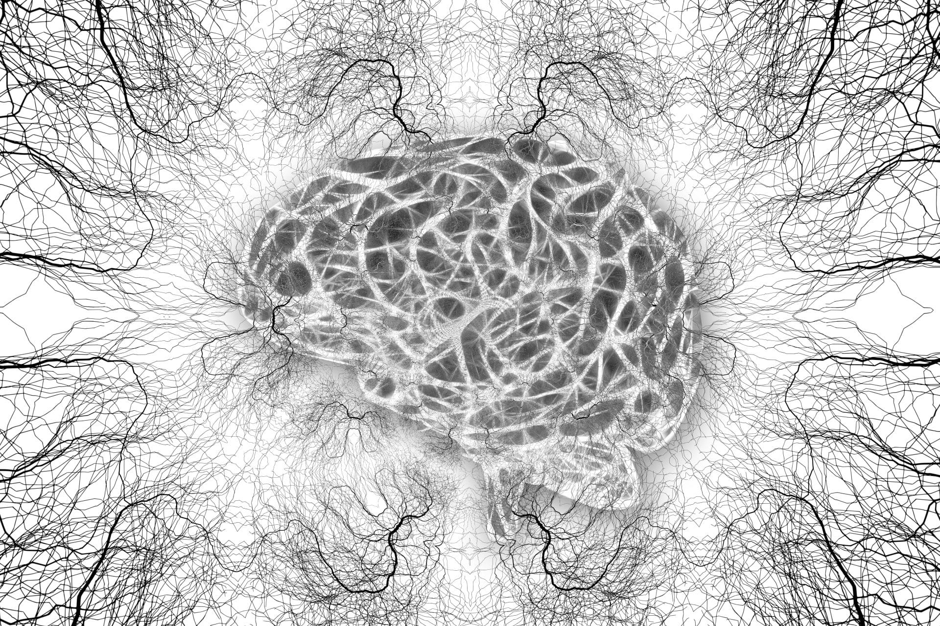 Diagram of brain neurons